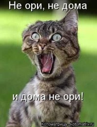 Смешные комментарии из соц.сетей