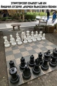 не благодари