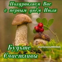 Вот и середина лета, а кажется что только начало