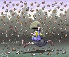 Грибной дождик – какой он?