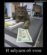 Без кота и жизнь не та