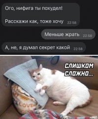 Смешные и познавательные картинки