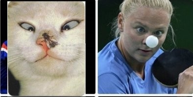 Смешные комментарии из соц.сетей