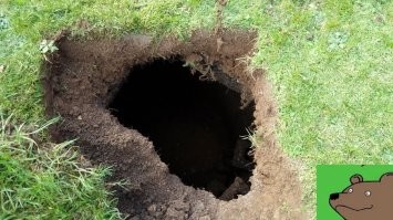 Смешные и познавательные картинки