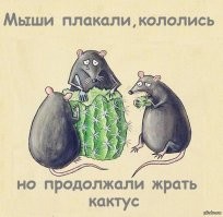 "Обокрали и приставали": как русские туристы отдыхают в Абхазии
