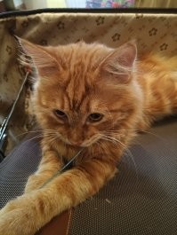 С добрым утром!