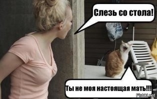 Смешные комментарии из соц.сетей