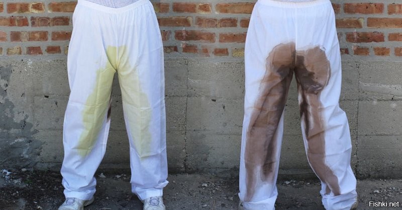 Прим представил как тиктокер в обоссаных штанах снимает ролик из белого дома и кривляясь перед камерой жмет на красную нопку.