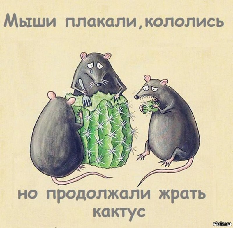 почему при таком негативе, все равно - ТОЛПЫ баранов прутся... или покупают их товары?
да всё очень просто:
