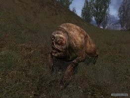 тогда уж вот пожалуй ближе.