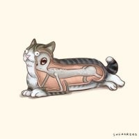 Что находится внутри у разных предметов?