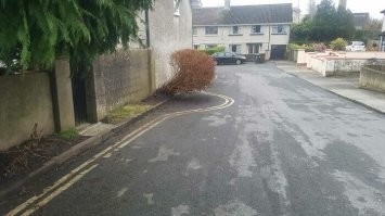 через куст все равно никто не поедет, а пилить его наверняка должны другие службы