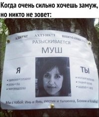 Объявления, которые могли придумать только люди из&nbsp;России