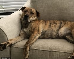 Какой хороший мальчик!