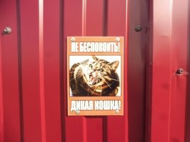 Объявления, которые могли придумать только люди из&nbsp;России