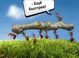 Китайцы поделились секретом, как строить 10-этажные дома за сутки