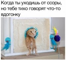 Смешные и познавательные картинки