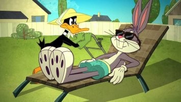 Зайцы тоже очки порой носят...