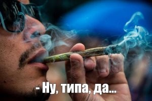 Столько рыбок под ногами, решили их покормить картошкой фри. Встретили пеликана и верблюда