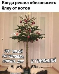 Большущий вечерний Калейдоскоп юмора, сатиры и позитива с просторов Интернета!