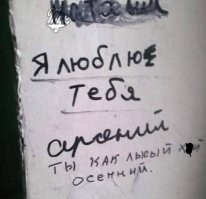 45 необычных, смешных и познавательных фото