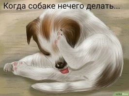 Без штанов и масок: две девушки в Петербурге, надев подгузники, устроили забег по вагону метро