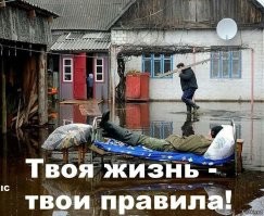 Свежие демотиваторы для настроения 