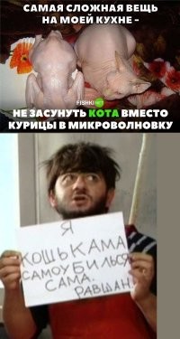 Смешные и познавательные картинки