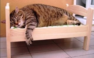 Дождь - это от слова "дождаться". Есть же такое выражение - после дождичка в четверг. В смысле, подождем до четверга, тогда будет дождик, вот тогда и можно делать дело.