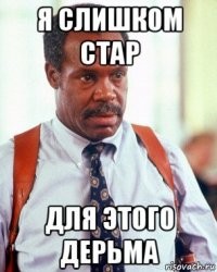 12 современных мемов: кто там, что делает и почему стал мемом