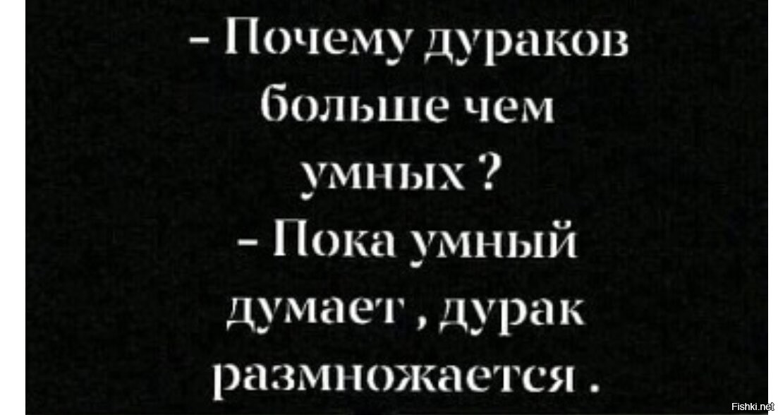 Почему я дурак. Пока умные думают дураки размножаются. Почему дураков больше чем умных. Почему почему ты дурак. Кого больше дураков или умных.