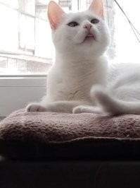 Добавлю свои 5 копеек