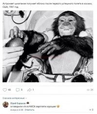 Обезьяну айфоном премировали :)