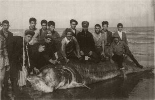 Никакого "фотошопа": откуда взялись фотографии с огромными овощами