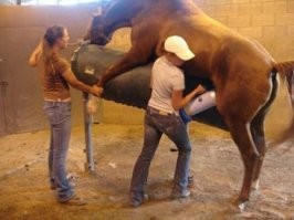 Я бы на такой девушке не отважился жениться...