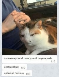 А вот и продолжение истории