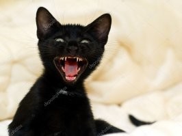 Не, своего Руслана ждёт, где-то рядом брат, "карла Черномор"