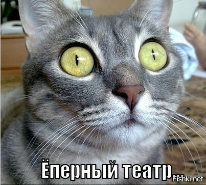 Смешные и познавательные картинки