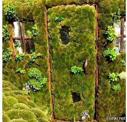 »---(ツ)---«    \_(ツ)_/