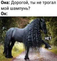 Нашёл на полке жены шампунь "Длина и сила". Не поверил, но намылил дважды!