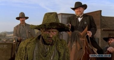 Жаль, что не так: