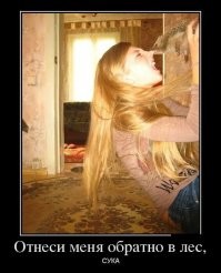 Решил поцеловать ежика и был наказан