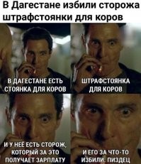 В Башкирии коров-обочечников  определят на штрафстоянку