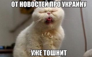 Жертва пластического хирурга: в Одессе выбрали самую красивую женщину Вселенной