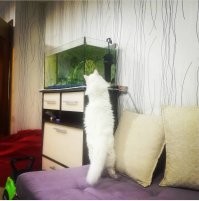 есть один)хватит