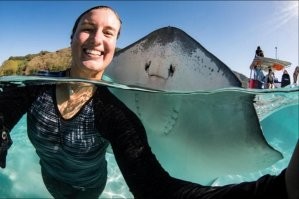 Сделал себе один скат новые зубы. Другой скат его спрашивает:
- Ну как, нравятся?
- Не знаю, у меня глаза с другой стороны.