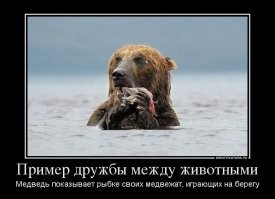 15 увлекательных снимков всяких необычностей 