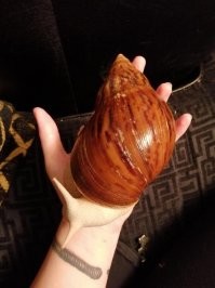 это надо сколько иметь мозгов, чтобы набить себе червяка или сколопендру там себе на запястье...