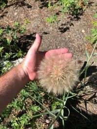 тут вполне все в рамках нормы