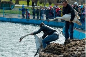 Оригинальный способ уйти от удушающего приема